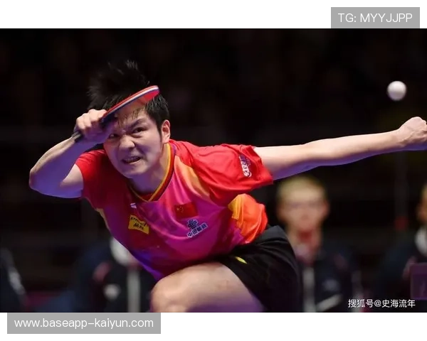 樊振东德甲遭首败后迅速反弹三比零横扫法尔克难救萨尔布吕肯失利